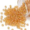 TOHO 6/0 Round Beads SEED-TR06-0162-1