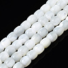 Natural Trochid Shell/Trochus Shell Beads Strands SSHEL-N034-121-B01-1