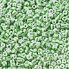 6/0 Opaque Colours Seep Glass Seed Beads SEED-F003-04A-06-3