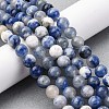 Natural Sodalite Beads Strand GSR8mmC013-5