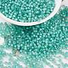 MIYUKI Round Rocailles Beads SEED-X0055-RR0571-1
