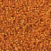 MIYUKI Delica Beads SEED-J020-DB0681-3