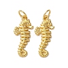 Brass Pendants KK-A271-09I-G-1