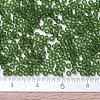 MIYUKI Round Rocailles Beads SEED-G007-RR0158F-3