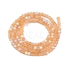 Transparent Glass Beads Strands EGLA-A044-T1mm-MB23-3