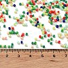 Baking Paint Glass Seed Beads SEED-S042-05B-51-4