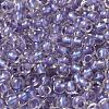 6/0 Transparent Inside Colours Glass Seed Beads SEED-P006-01A-14-3