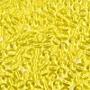 FGB Transparent Glass Seed Beads SEED-N013-01B-12-3