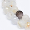 Natural Dendritic Agate Beads Strands G-D0005-18-8mm-3