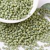 MIYUKI Round Rocailles Beads X-SEED-G008-RR4473-1