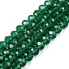 Glass Beads Strands EGLA-A034-T10mm-D18-1