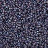 TOHO 11/0 Round Beads X-SEED-TR11-0166DF-2