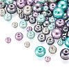 Cheriswelry 12 Strands 12 Styles Baking Painted Pearlized Glass Pearl Round Bead Strands HY-CW0001-03A-12
