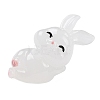 Luminous Resin Rabbit Ornament DJEW-R011-02A-1