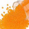 TOHO 11/0 Round Beads SEED-TR11-0010-1