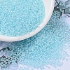 MIYUKI Round Rocailles Beads SEED-X0054-RR0220-1
