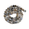 Natural Labradorite Beads Strands G-G281-B03-6mm-3
