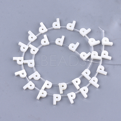 Freshwater Shell Beads X-SHEL-T012-59P-1