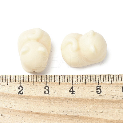 Natural Tagua Beads Jewelry Findings WOOD-V001-02-1