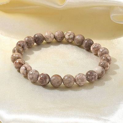 Natural Maifanite/Maifan Stone Bead Stretch Bracelets X-BJEW-K212-B-044-1
