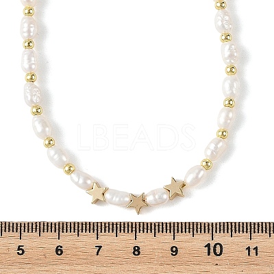Natural Cultured Freshwater Pearl Two Sides Polished & Brass Star Beaded Necklaces for Women NJEW-JN06356-1
