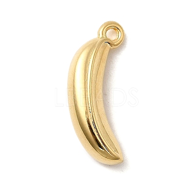 304 Stainless Steel Pendants STAS-B103-01C-G-1
