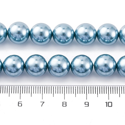 Shell Pearl Beads Strands BSHE-K015-10mm-02-1