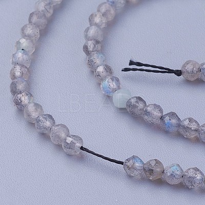 Natural Labradorite Beads Strands G-F619-15-3mm-1