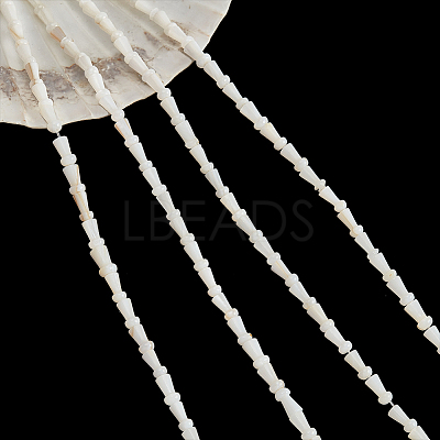 4 Strands Natural Freshwater Shell Beads Strands SHEL-NB0001-52-1