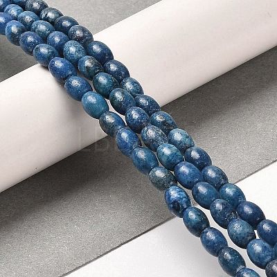 Natural Dolomite Beads Strands G-F765-A03-01-1