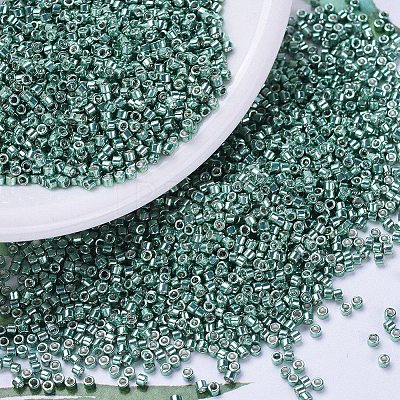 MIYUKI Delica Beads X-SEED-J020-DB0432-1