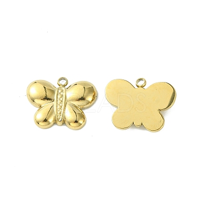 304 Stainless Steel Pendants STAS-L269-030G-1
