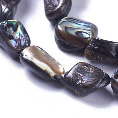 Natural Abalone Shell/Paua Shell Beads Strands SSHEL-F303-08B-1