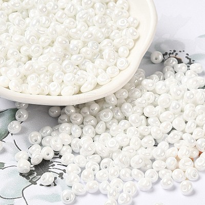 6/0 Glass Seed Beads SEED-M012-01A-16-1