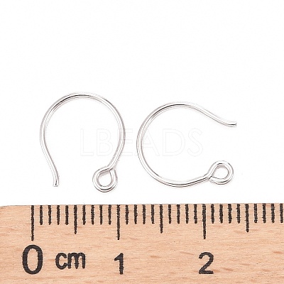 Rhodium Plated 925 Sterling Silver Earring Hooks LS-STER-N0001-028S-1