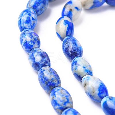 Natural Lapis Lazuli Beads Strands G-K311-10B-03-1