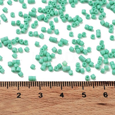 Baking Paint Glass Seed Beads SEED-S042-05B-60-1