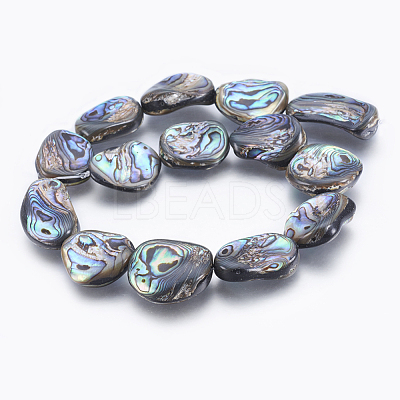 Natural Abalone Shell/Paua Shell Beads Strands SSHEL-P014-04-1