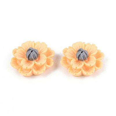Resin Decoden Cabochons CRES-T025-04B-1