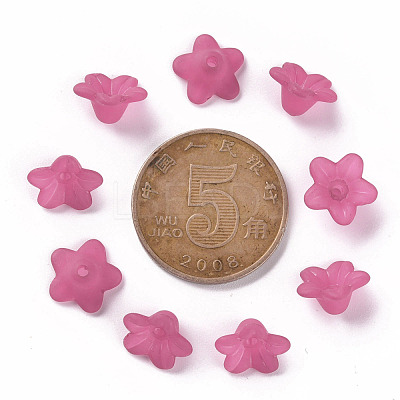 Transparent Acrylic Beads PL554-04-1