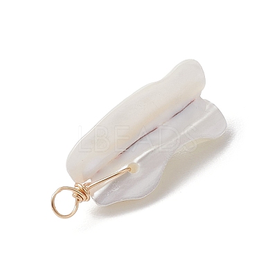 Natural Trochid Shell Pendants PALLOY-JF02809-02-1