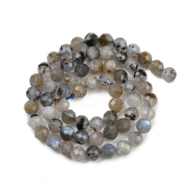 Natural Labradorite Beads Strands G-G281-B03-6mm-1