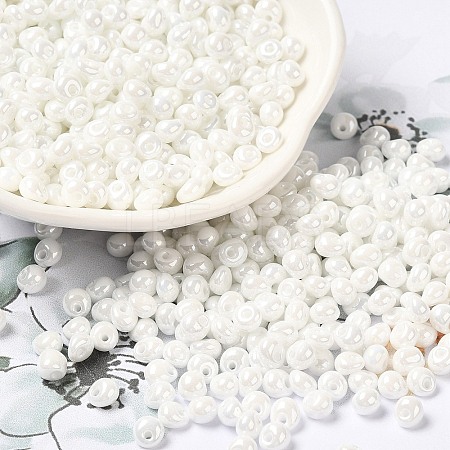 6/0 Glass Seed Beads SEED-M012-01A-16-1