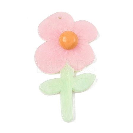 Opaque Acrylic Big Pendants OACR-I018-01A-1