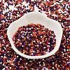 Baking Paint Glass Seed Beads X-SEED-S042-05B-49-2