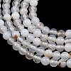 Natural Dendritic Agate Beads Strands G-D0005-18-6mm-7