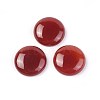 Natural Carnelian Cabochons G-F608-04C-01-1