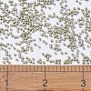 MIYUKI Delica Beads X-SEED-J020-DB1181-4
