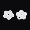 Natural Freshwater Shell Buttons SHEL-N038-11-2