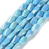 Ombre Effect Dyed Glass Beads Strands GLAA-I059-01C-1